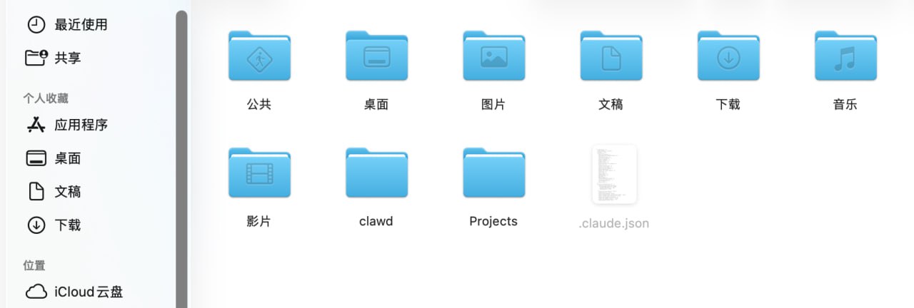 .claude.json 文件位置