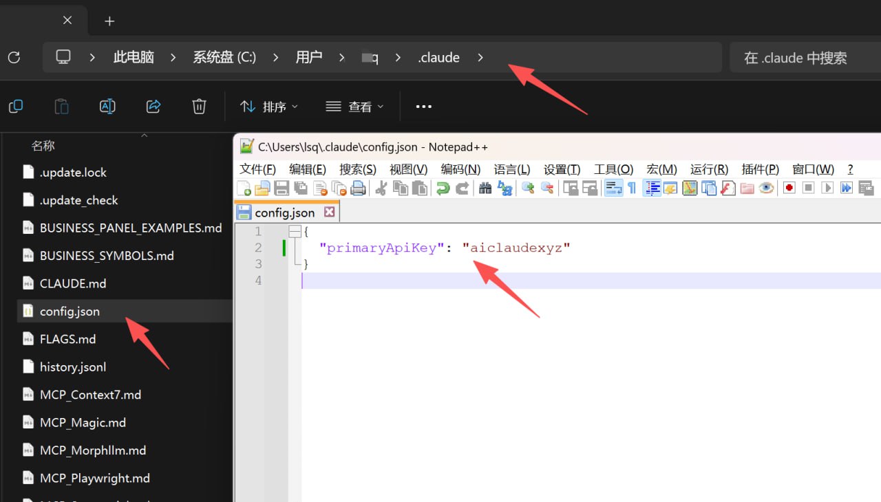 在 ~/.claude/config.json 中设置 primaryApiKey