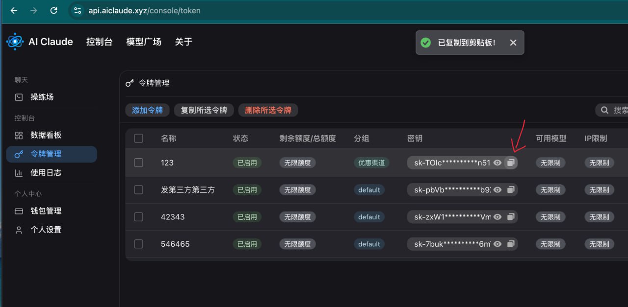 复制 API Key
